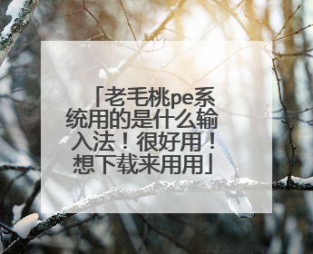 老毛桃pe系统用的是什么输入法!很好用!想下载来用用