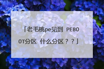 老毛桃pe见到 PEBOOT分区 什么分区??