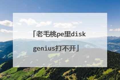 老毛桃pe里diskgenius打不开