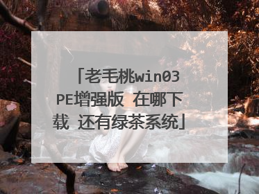 老毛桃win03PE增强版 在哪下载 还有绿茶系统