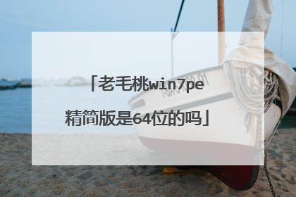老毛桃win7pe精简版是64位的吗