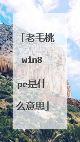 老毛桃win8pe是什么意思