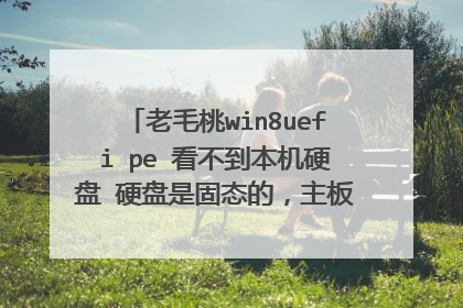 老毛桃win8uefi pe 看不到本机硬盘 硬盘是固态的,主板IDE什么的也设置了,不显示求方法