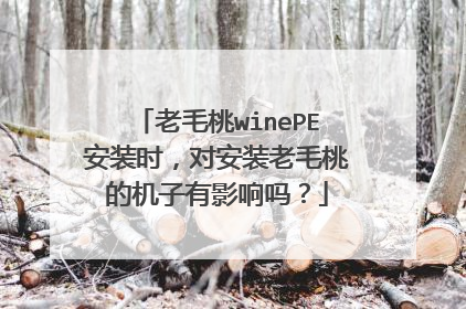 老毛桃winePE安装时，对安装老毛桃的机子有影响吗？