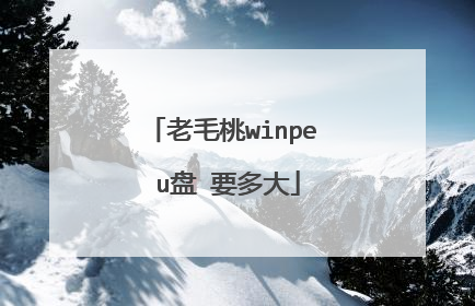 老毛桃winpe u盘 要多大
