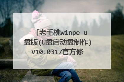 老毛桃winpe u盘版(U盘启动盘制作)V10.0317官方修正版如何使用?