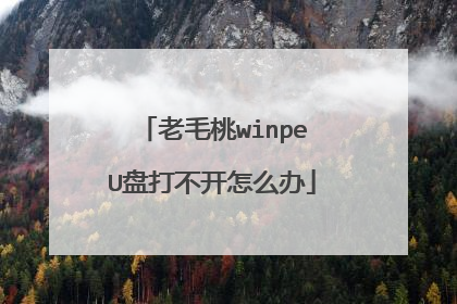 老毛桃winpeU盘打不开怎么办