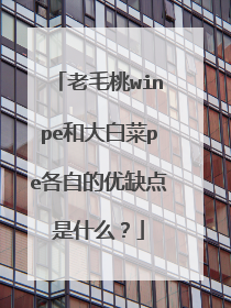 老毛桃winpe和大白菜pe各自的优缺点是什么?