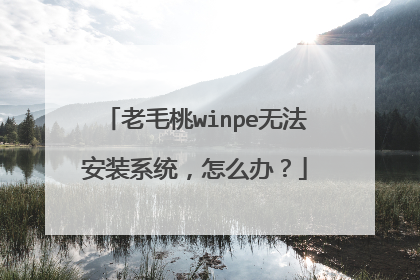 老毛桃winpe无法安装系统,怎么办?