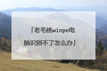 老毛桃winpe电脑识别不了怎么办