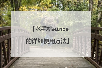 老毛桃winpe的详细使用方法
