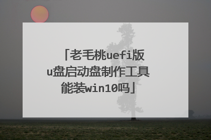 老毛桃uefi版u盘启动盘制作工具能装win10吗