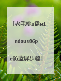 老毛桃u盘windous86pe防蓝屏步骤