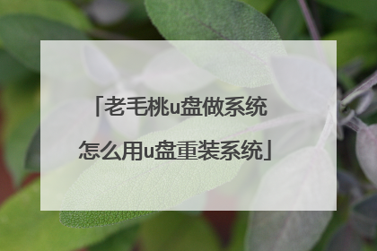 老毛桃u盘做系统 怎么用u盘重装系统