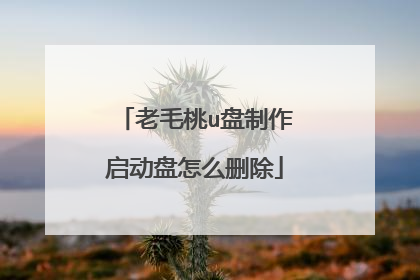 老毛桃u盘制作启动盘怎么删除