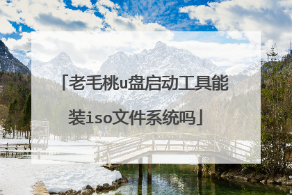 老毛桃u盘启动工具能装iso文件系统吗