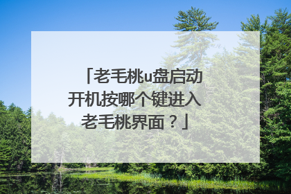老毛桃u盘启动开机按哪个键进入老毛桃界面？