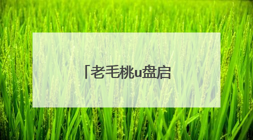 老毛桃u盘启动怎么操作