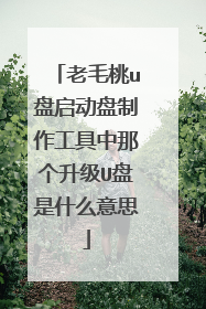 老毛桃u盘启动盘制作工具中那个升级U盘是什么意思