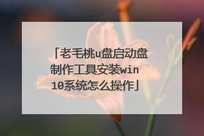 老毛桃u盘启动盘制作工具安装win10系统怎么操作