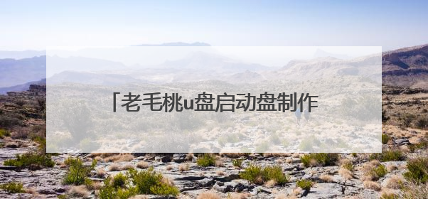 老毛桃u盘启动盘制作工具能不能安装双系统
