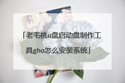 老毛桃u盘启动盘制作工具gho怎么安装系统