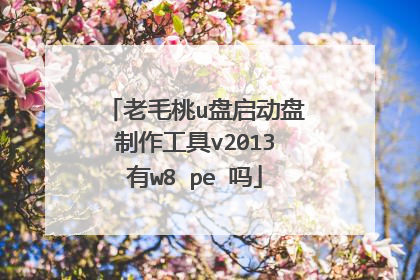 老毛桃u盘启动盘制作工具v2013有w8 pe 吗