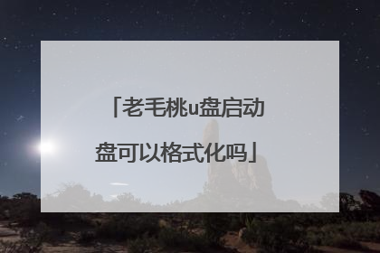 老毛桃u盘启动盘可以格式化吗