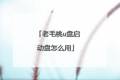 老毛桃u盘启动盘怎么用