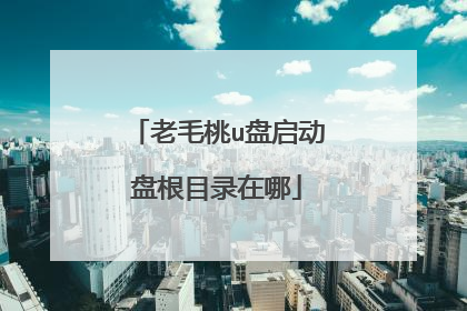 老毛桃u盘启动盘根目录在哪