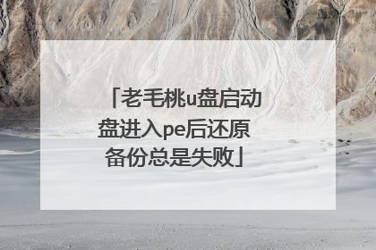 老毛桃u盘启动盘进入pe后还原备份总是失败