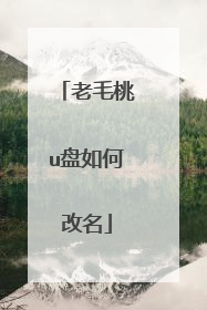 老毛桃u盘如何改名