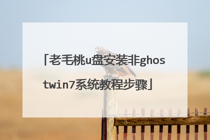 老毛桃u盘安装非ghostwin7系统教程步骤