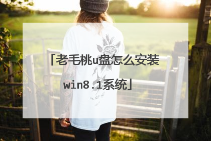 老毛桃u盘怎么安装win8.1系统