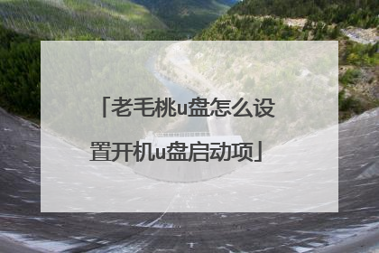 老毛桃u盘怎么设置开机u盘启动项