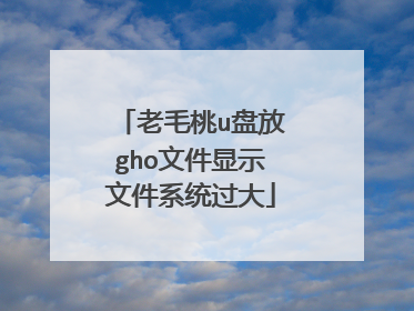 老毛桃u盘放gho文件显示文件系统过大
