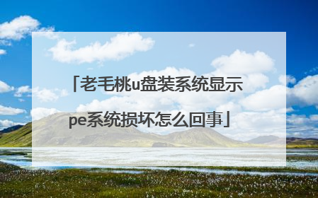 老毛桃u盘装系统显示pe系统损坏怎么回事