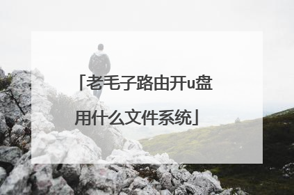 老毛子路由开u盘用什么文件系统