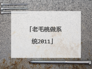 老毛桃做系统2011