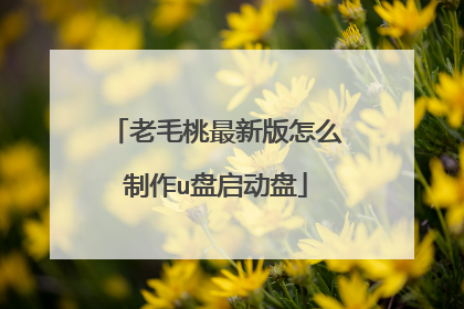 老毛桃最新版怎么制作u盘启动盘