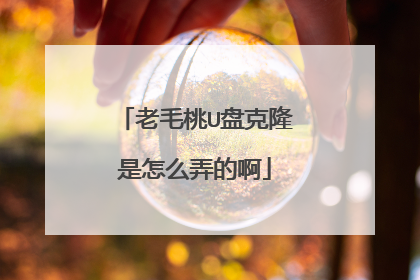 老毛桃U盘克隆是怎么弄的啊
