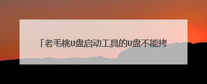 老毛桃U盘启动工具的U盘不能拷贝4G以上文件怎么办?在线等