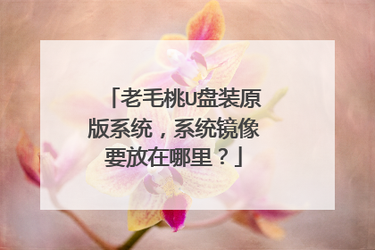 老毛桃U盘装原版系统，系统镜像要放在哪里？