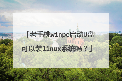 老毛桃winpe启动U盘可以装linux系统吗？