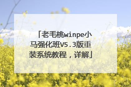 老毛桃winpe小马强化班V5.3版重装系统教程,详解