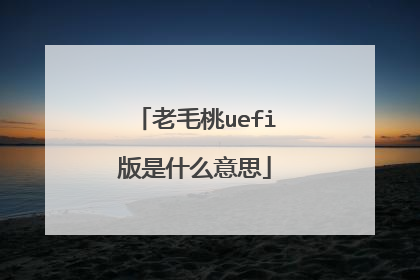 老毛桃uefi版是什么意思