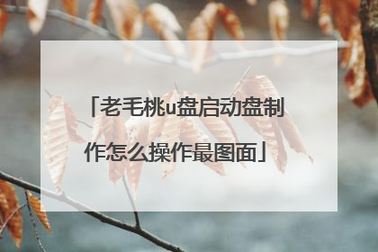 老毛桃u盘启动盘制作怎么操作最图面