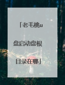 老毛桃u盘启动盘根目录在哪