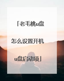 老毛桃u盘怎么设置开机u盘启动项