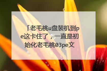 老毛桃u盘装机到pe这卡住了,一直是初始化老毛桃03pe文件系统,怎么解决,好几次了都是这样